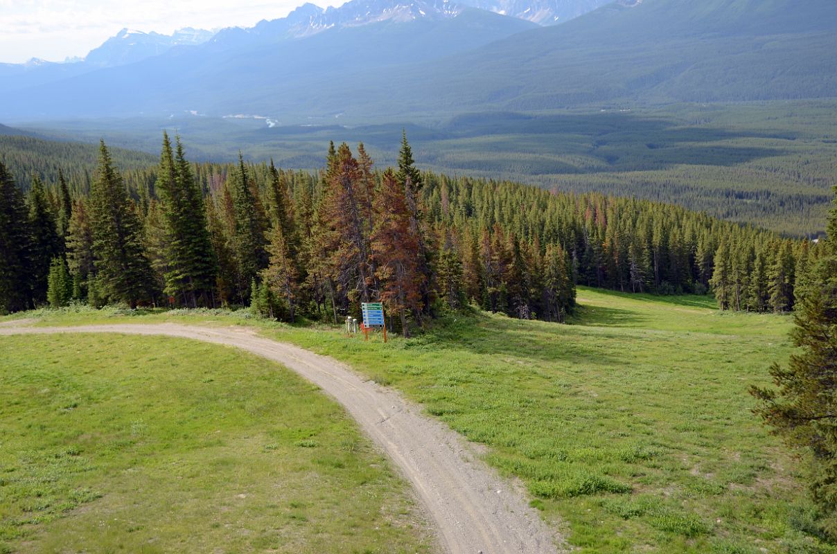 05 Looking Down At Lake Louise Ski Runs From Near Top Of Gondola In Summer